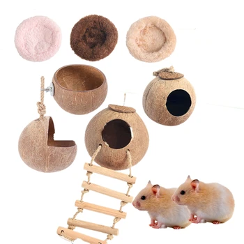 Coconut Hamster Hideout House 1