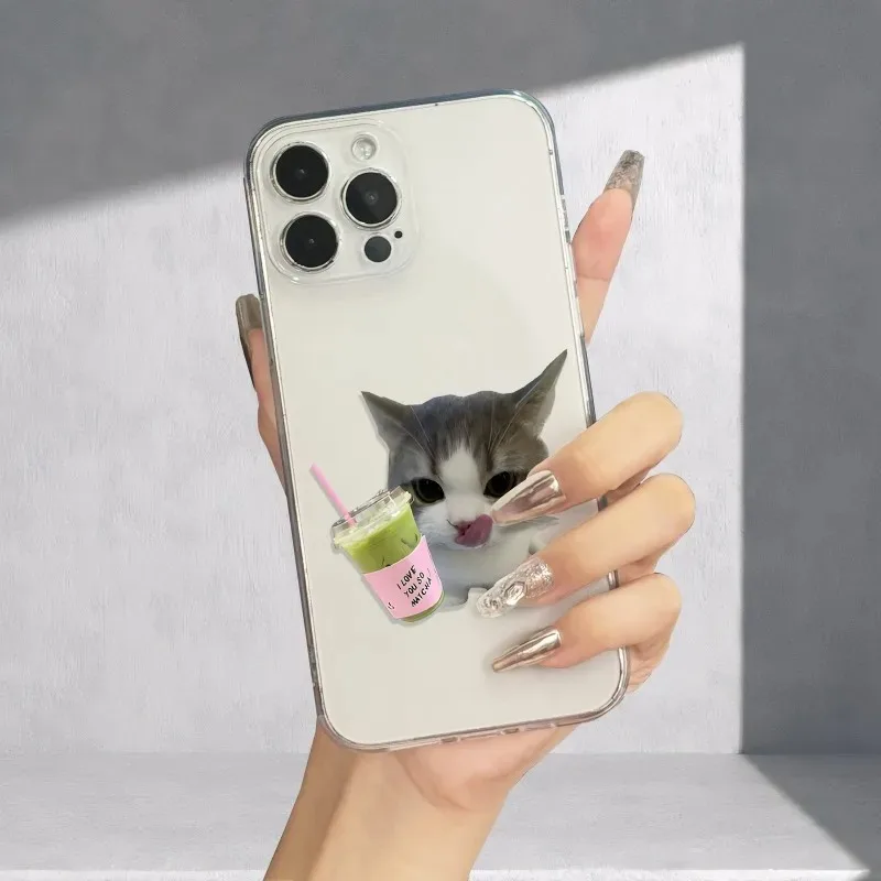 Charming Cat Design Shockproof Transparent Phone Case Cover