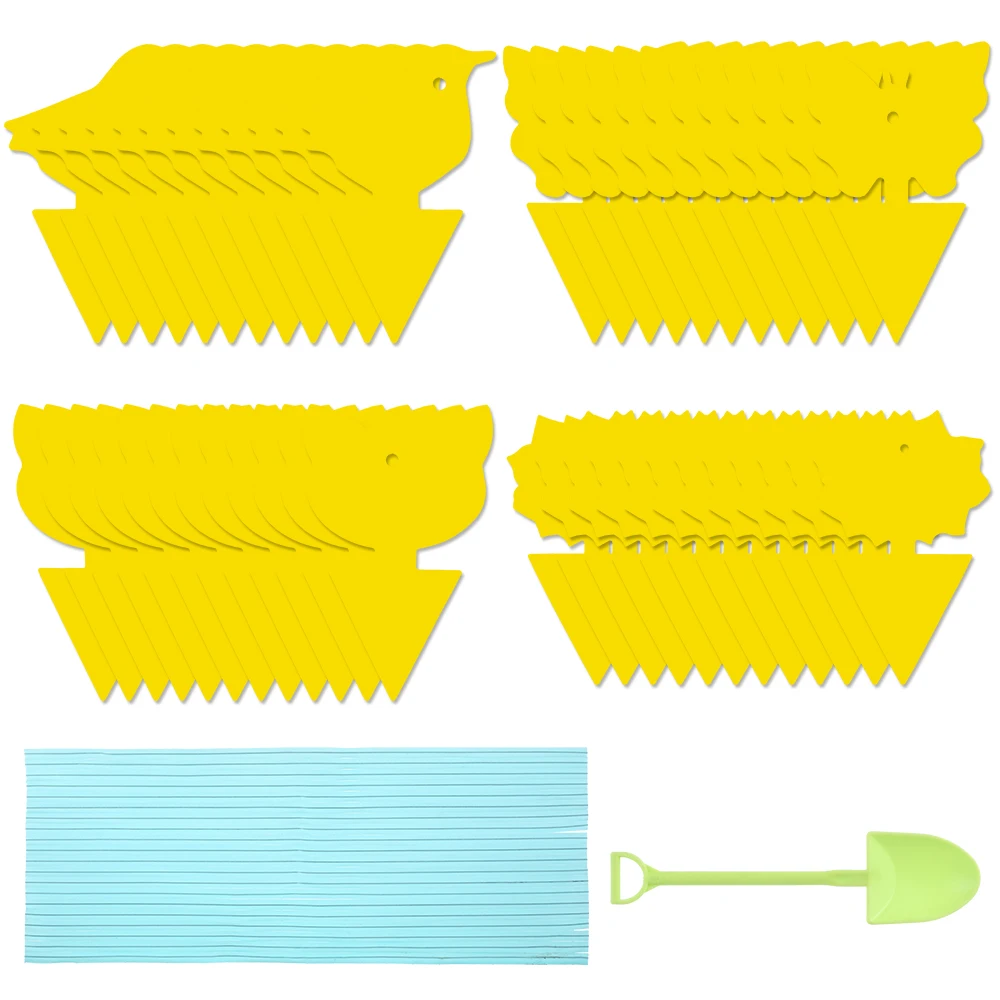 set