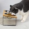 Elevated Slanted Kitten Plate Set of 2 Stainless Steel Plates for Indoor Cats, 2 Bowl Cat Feeder Easy to Assemble 2