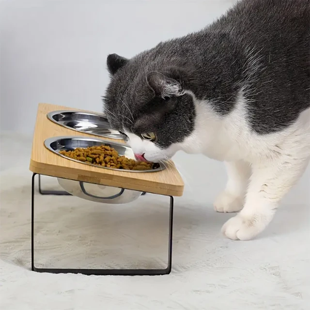 Elevated Slanted Kitten Plate Set of 2 Stainless Steel Plates for Indoor Cats, 2 Bowl Cat Feeder Easy to Assemble 2