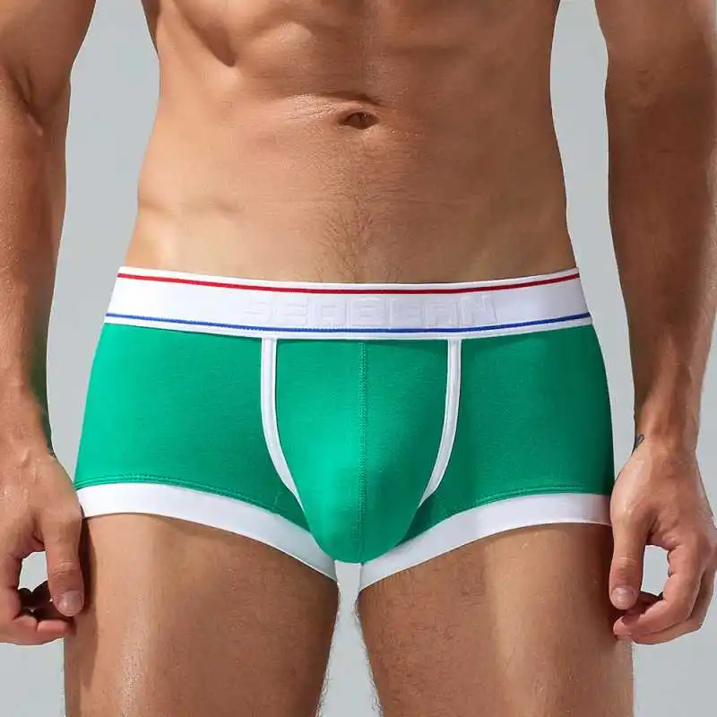 Brand Men's Boxers Underwear High Quality Cotton Men Boxershorts Sexy Bulge Big Penis Pouch Man Panties Low-rise Male Lingerie 4