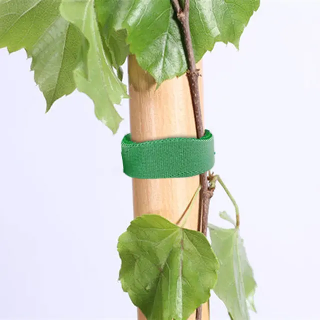 1 M/2M/3M Növényköteg Nylon Növényi Kötés Otthoni Kerti Szalaghorog Hurok Bambusz Cukornádtámasz Támogató Kiegészítők - Image 5