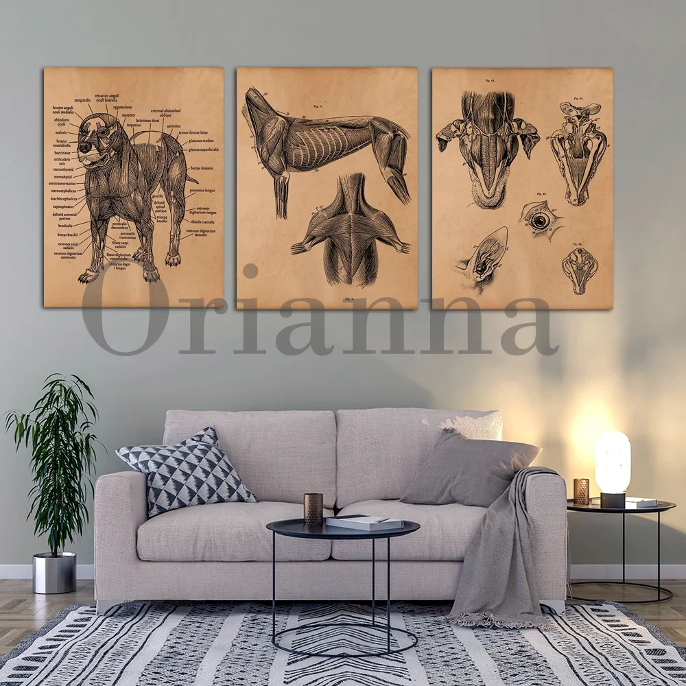 Vintage Dog Skeleton Wall Art 2