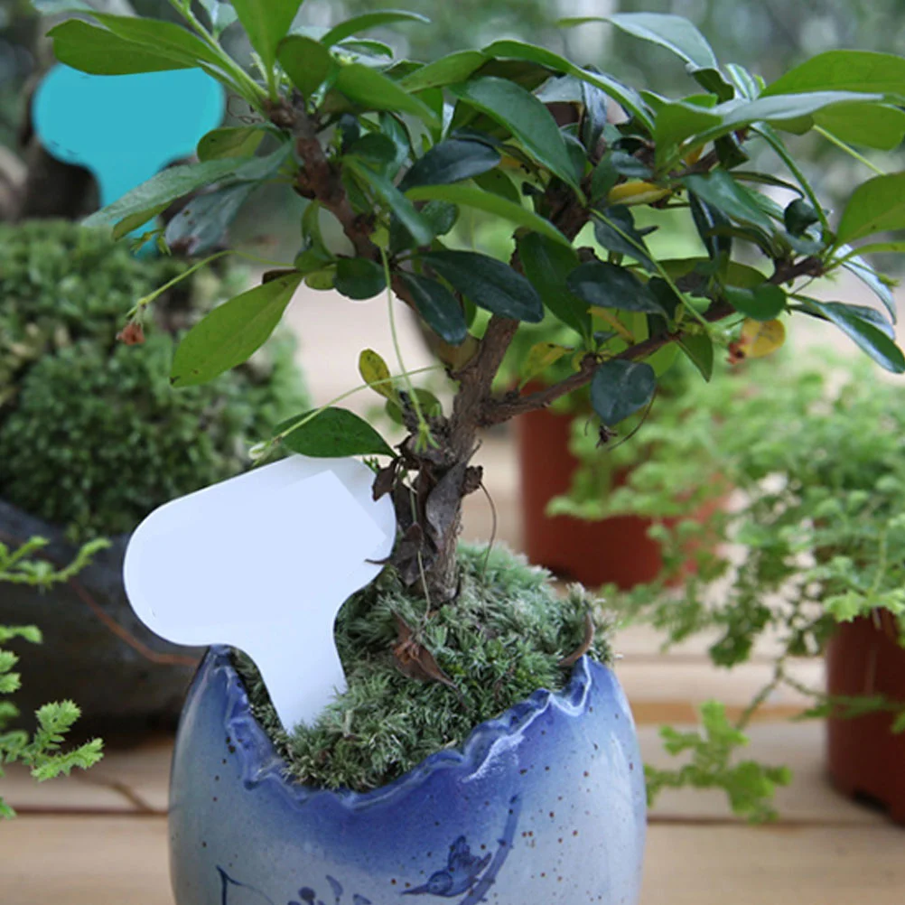 ceramic pots near me 100pcs Plant Labels Re-usable Waterproof Garden Tags Markers Nursery Insert Tag for Home Farm hanging plant holders Flower Pots & Planters