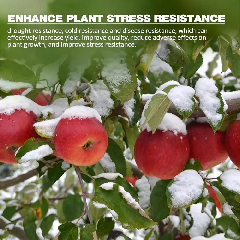 Description Picture 6 of item100g Soil Activated Treasure Soil Plant Flower Fertilizer Organic Soil Improver Soil Activator For Raised Garden Plant Nutrition