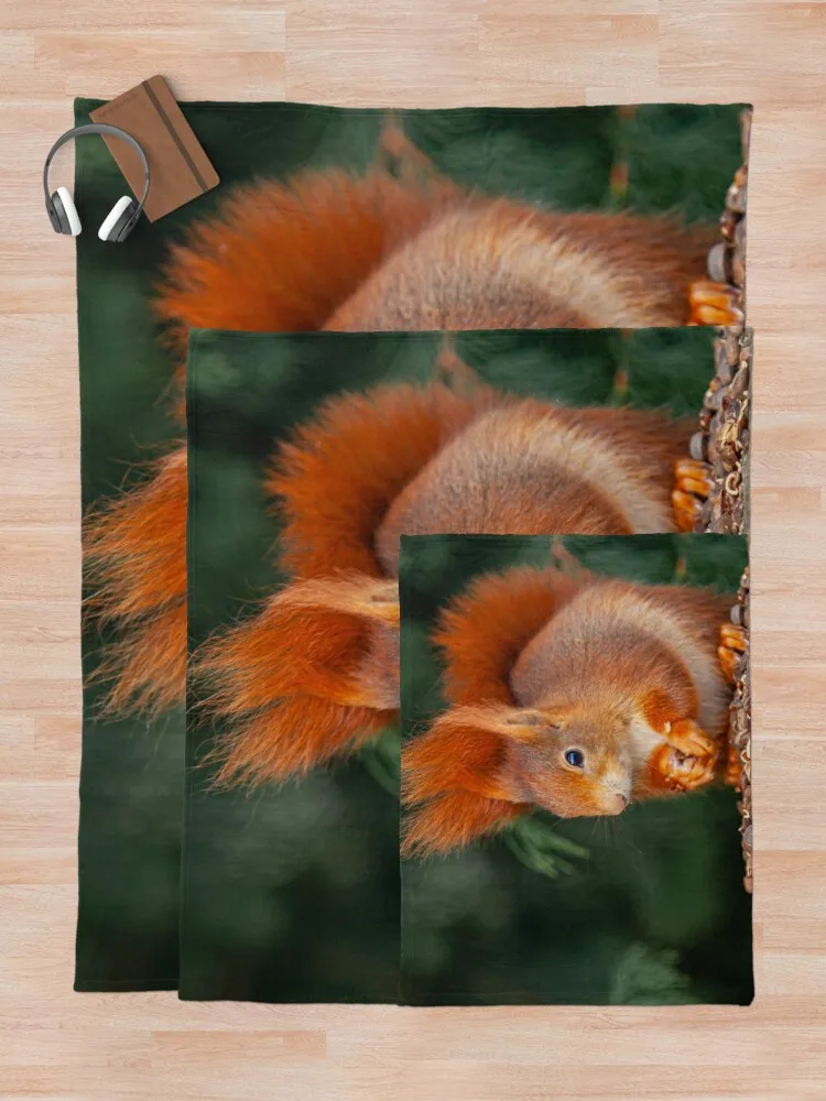 ���� �ٶ��� ������ ���, �����̴� ���, ���� ���� ���� ���� ���