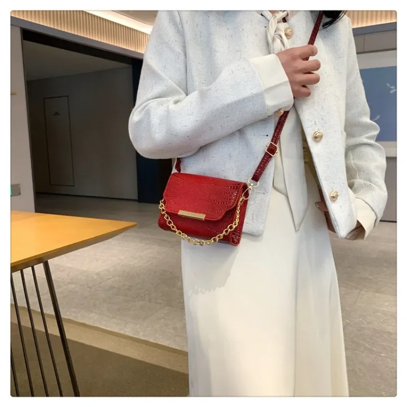 A 크로스 보더 스몰 스퀘어 여성용 숄더백, 하이 엔드 센스, 스몰 크라우드, 크로스 바디 실버, 미니 숄더백, 여름, 2024 신상 