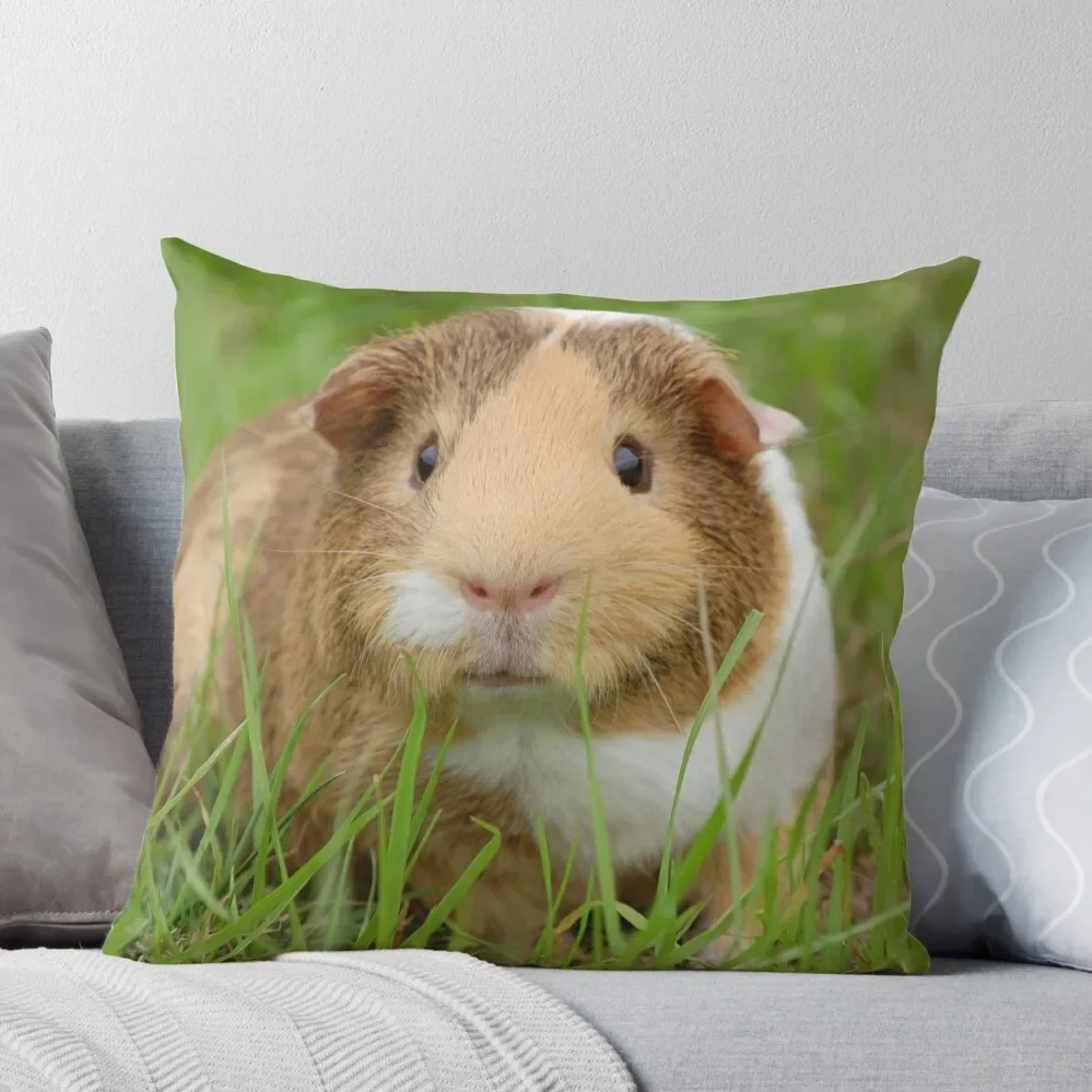 

Guinea pig power Throw Pillow sleeping pillows bed pillows