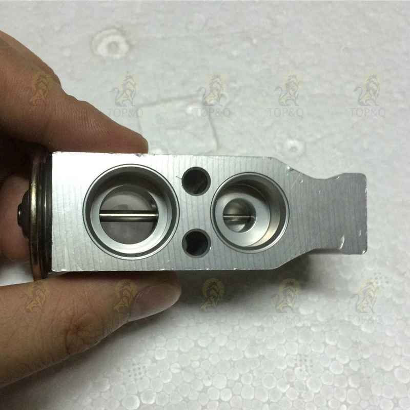 Fit for Great Wall Haval H2 H6 Tengyi C30 C50 Dazzling Universal Air Conditioning Expansion Valve