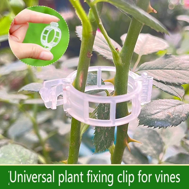 

20/50Pcs Plastic Plant Clips Supports Connects Reusable Protection Grafting Fixing Tool Gardening Supplies for Vegetable Tomato