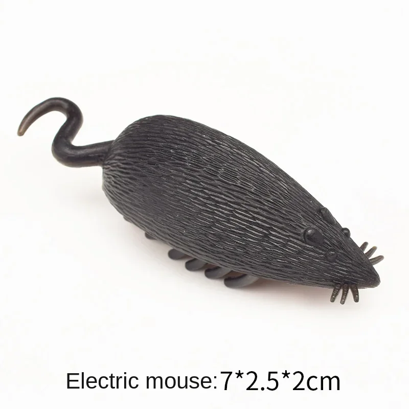 mouse