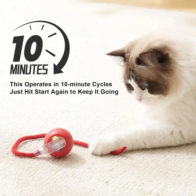 Interactive Ball Toy Cat Dog Automatic Rolling Ball Faux Tail Rechargeable Smart Pet Electric Toy Dog Cat 360° Indoor Ball Toy 5