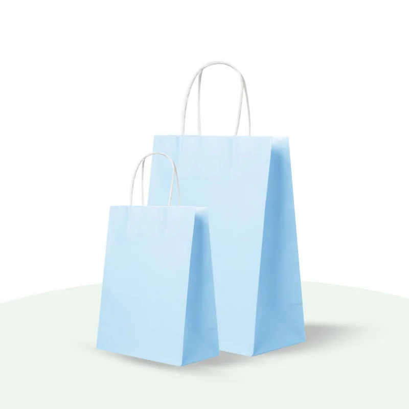 Small White Paper Shopping Bags (100 pcs.)