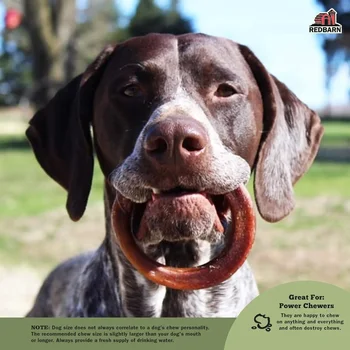 All-Natural Bully Stick Rings for Dogs - Long Lasting Rawhide Chew Treat - Case of 35 3