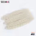 A1