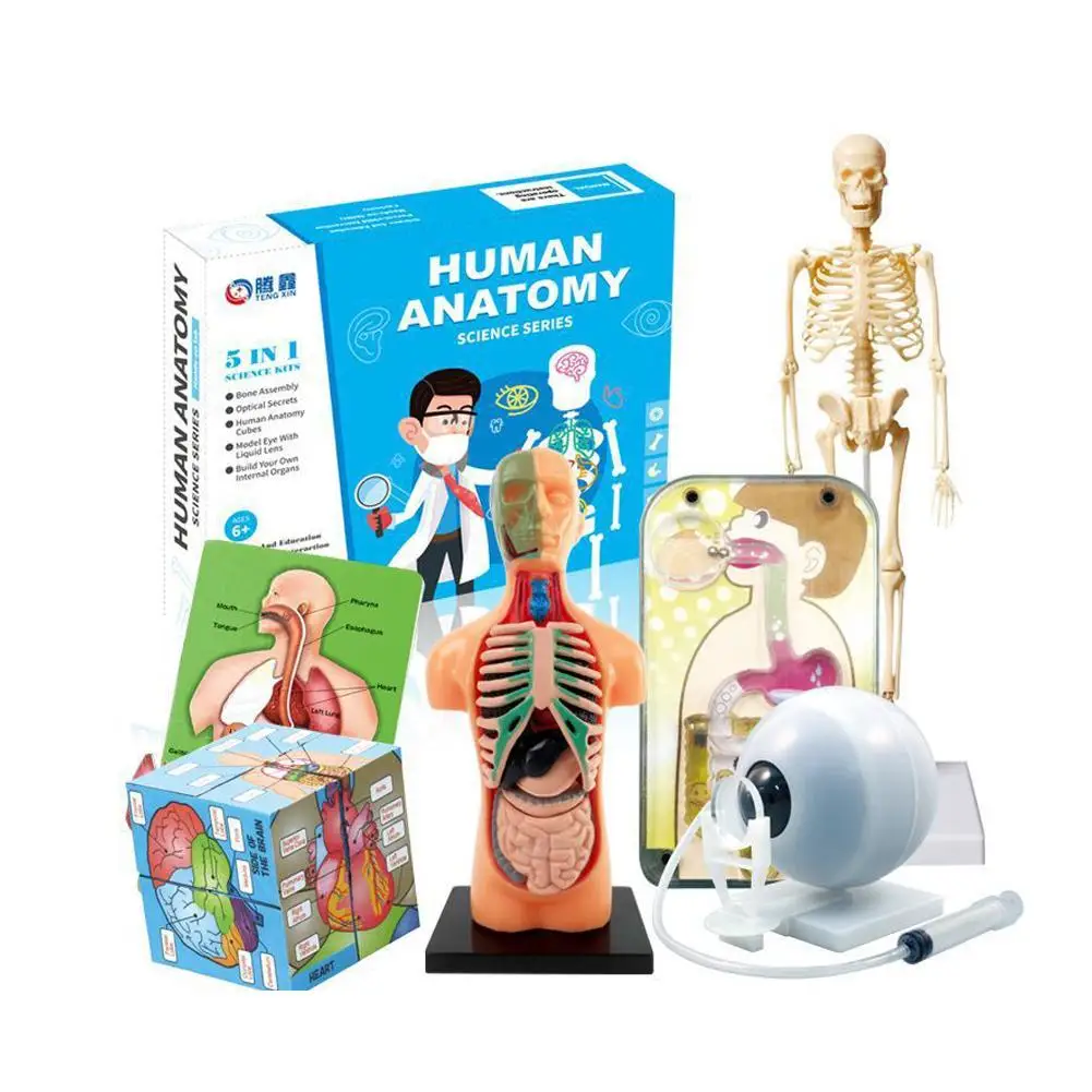 Store Home Products Feedback Store Home Products Feedback