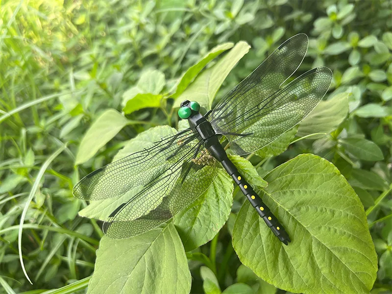 Description Picture 4 of itemOutdoor Mosquito Repellent Simulation Stick Dragonfly Rope Dragonfly Repellent Artifact