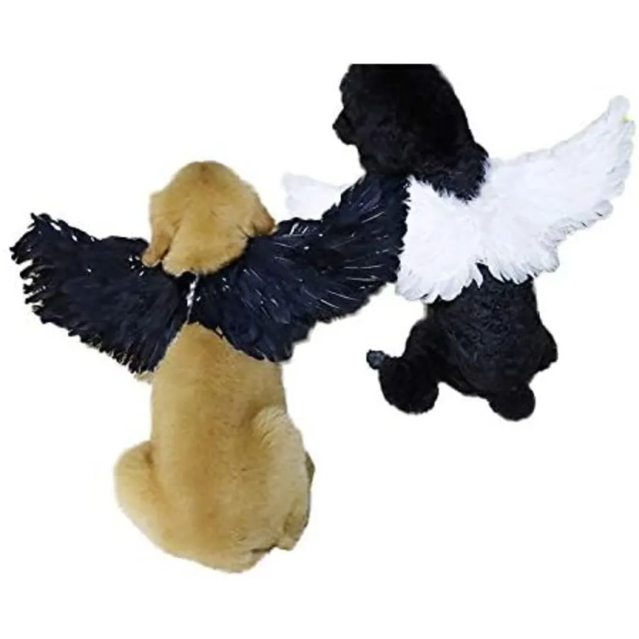 Funny Pet Halloween Costume Angel Devil Wings