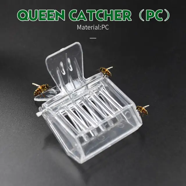 5 db Queen Méh Fogó-Gátló Műanyag Méhkapás Klip Méhészet Ketrec Méhész Szerszám Kerti Kellékek - Image 4