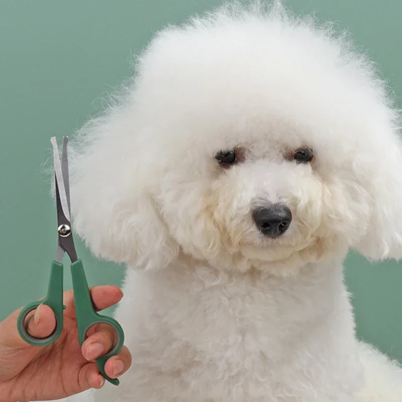 Pet Grooming Scissor for Dogs Professional Hairdressing Scissors Sharp Thinning / Curved Scissors Dog Grooming Beauty Tool hairdressing scissors dog grooming scissors hair trimmer scissors
