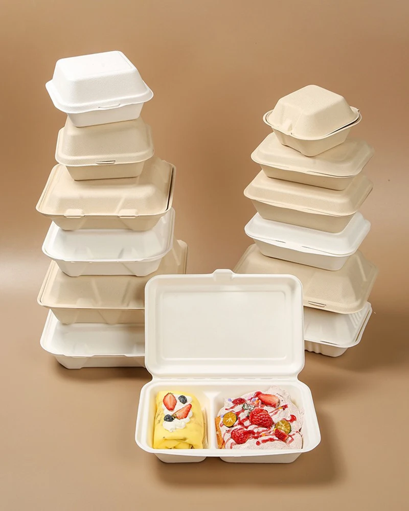 10pcs Disposable Packaging Lunch boxes, Food Containers for Vegetables, Fruit, Salad, D... - SKU DPLB2212 - UGI Packaging