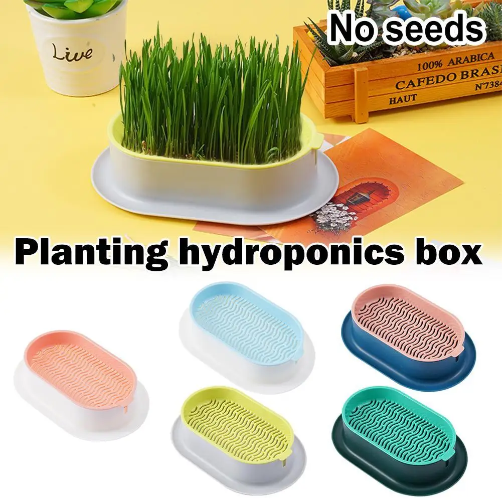 

Pet Cat Sprout Dish Growing Pot Hydroponic Plant Cat Greenhouse Digestion Dish Reusable Grow Grass Box Starter Germination Y0L1