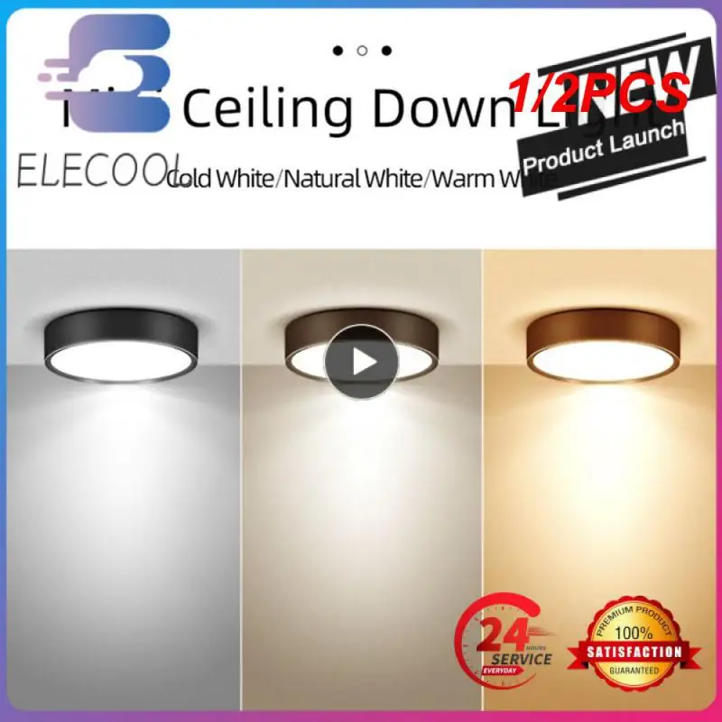 

1/2 шт., потолочный светильник, 10 Вт