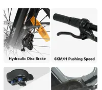 Tricycle électrique adulte CYSUM AG1 pro 750W 48V 20Ah Batterie Capacité de charge 50KG Tricycle électrique pliable pour les trajets urbains 4