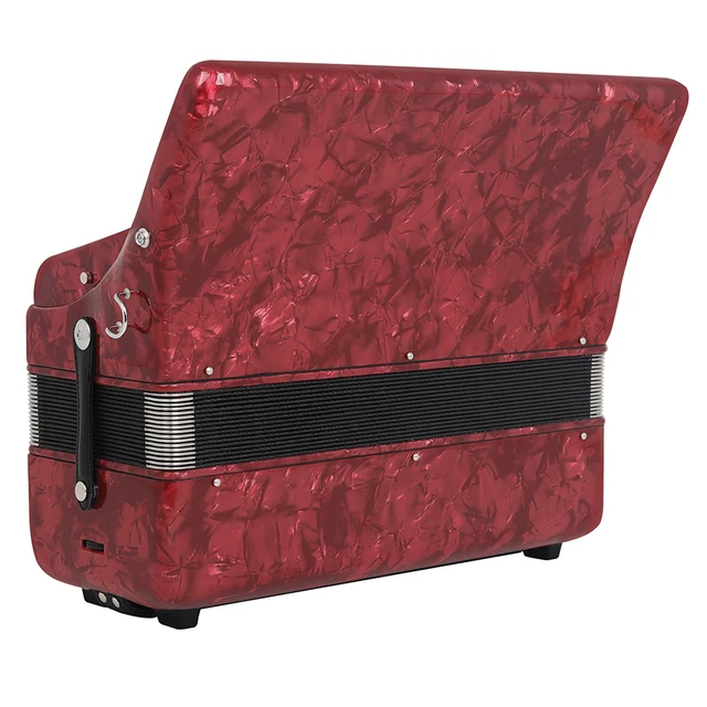 Fisarmonica 120 Bassi 41 Tasti Professionale - Strumento Musicale Con Borsa, Colore Blu - Foto 8