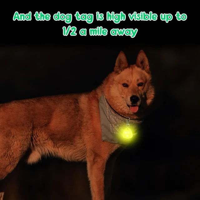 LED Pet Pendant Collar Waterproof Dog Collar Light for Outdoor Walking Safety Silicone LED Dog Collar 6
