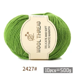 Premium Alpaca Wool Yarn Kit - 500g Medium Coarse, Warm & Fashionable DIY Knitting Material for Sweaters, Scarves, Hats & Pants, Multiple Color Pack (10 Balls) (2427 Autumn Green)