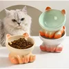 New Cute Ceramic Gradient  Cat Bowl Food Anti-tipping Drinking Protecting Cervical Vertebrae Bowl For Cats Dog Accessories 5