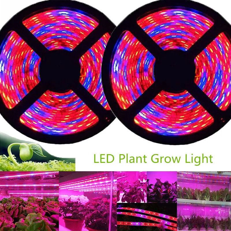 5m Phyto LED Grow Light 12V Full Spectrum LED Growing Diode Tape Lamp 5050 Strip Plant Phytolampy IP65 Flexible Aquarium grow light