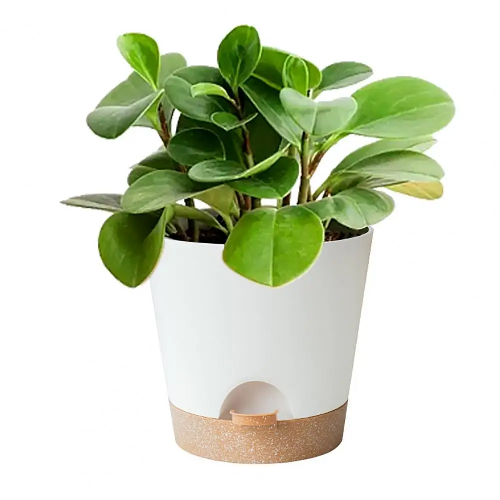 Self Watering Flower Pot 4