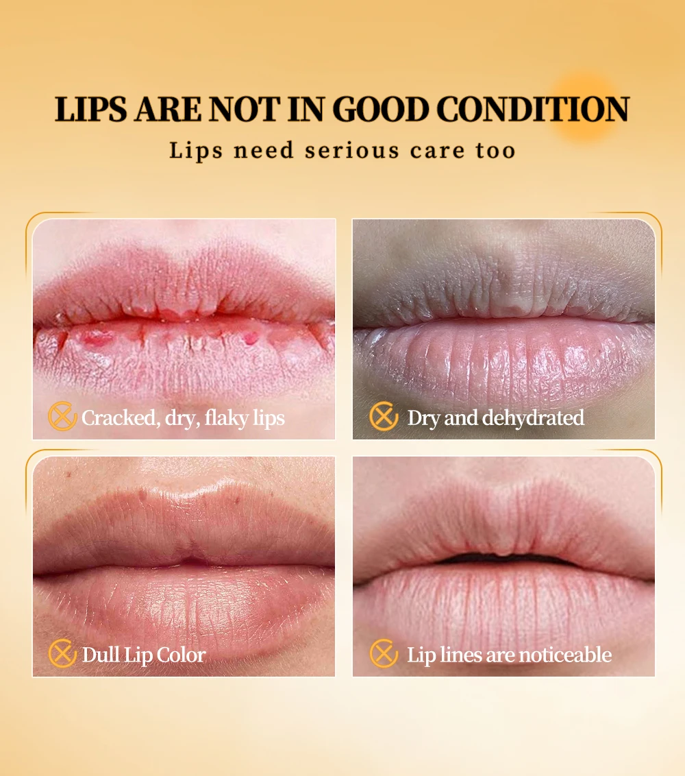 Description Picture 5 of itemBlack Honey Colored Lip Balm Smooth Easy-to-Spread Lip Conditioner Long-Lasting Moisture Nutrition Translucent Finish Lip Makeup