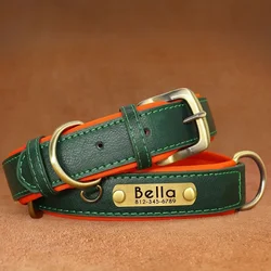 Personalized Soft Padded Leather Dog Collar and Leash with Engraved Nameplate - S (Green Collar)
