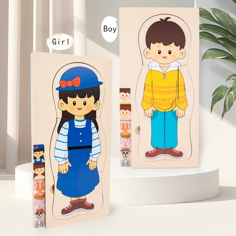 Wooden Jigsaw Puzzles Jigsaw Puzzles Wooden Puzzle Toys Educational Puzzles Wooden Human Body Puzzle Montessori Boys Girls Multi-Layer Body Structure Puzzle Cognitive Teaching Aids Learning Toys For Child