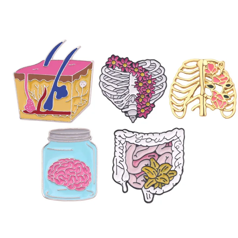

Human Medical Brooch Skeleton Rib Viscera Neurological Brain Small Intestin Tissue Blood Capillary Biology Chemistry Pins Doctor