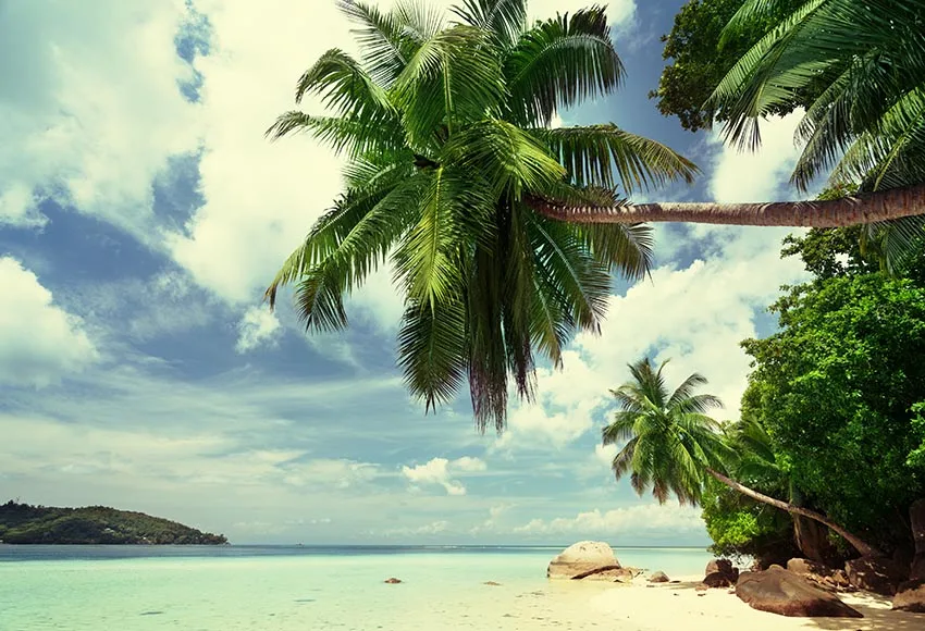 MEHOFOND 7x5ft Fabric Summer Beach Photography Backdrop Hawaii Tropical