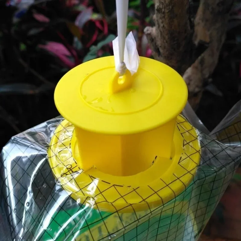 Dispositif de piège à mouches avec pièges, lutte antiparasitaire, attrape-mouche extérieur, attrape-poulet, insecticide attractif, insecte