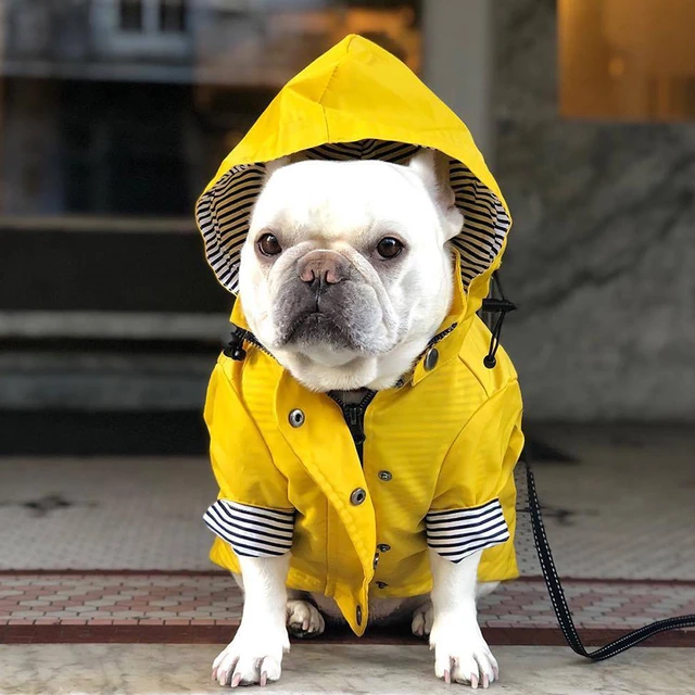 Impermeabile giallo per cani da compagnia con tasche PU Bulldog francese  vestiti per cani di piccola taglia cappotto impermeabile per cani giacca  per cani accessori per cani - AliExpress