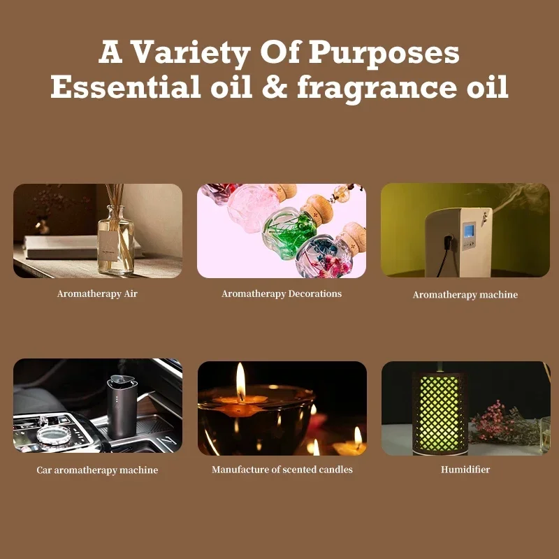 Namste Aroma Essential Oil Various Series Fragrance Set Of 10*5ml Sample Essential Oil Air Freshener Aromatic For Diffuser Home 5