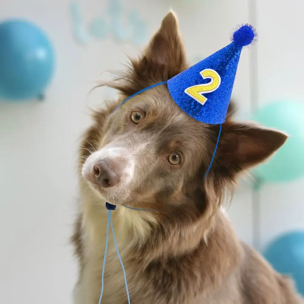 Pet Birthday Caps With Ball Cat Dog Costume Sequin Headwear Cap Hat Christmas Party Pet Accessories Decoration 5