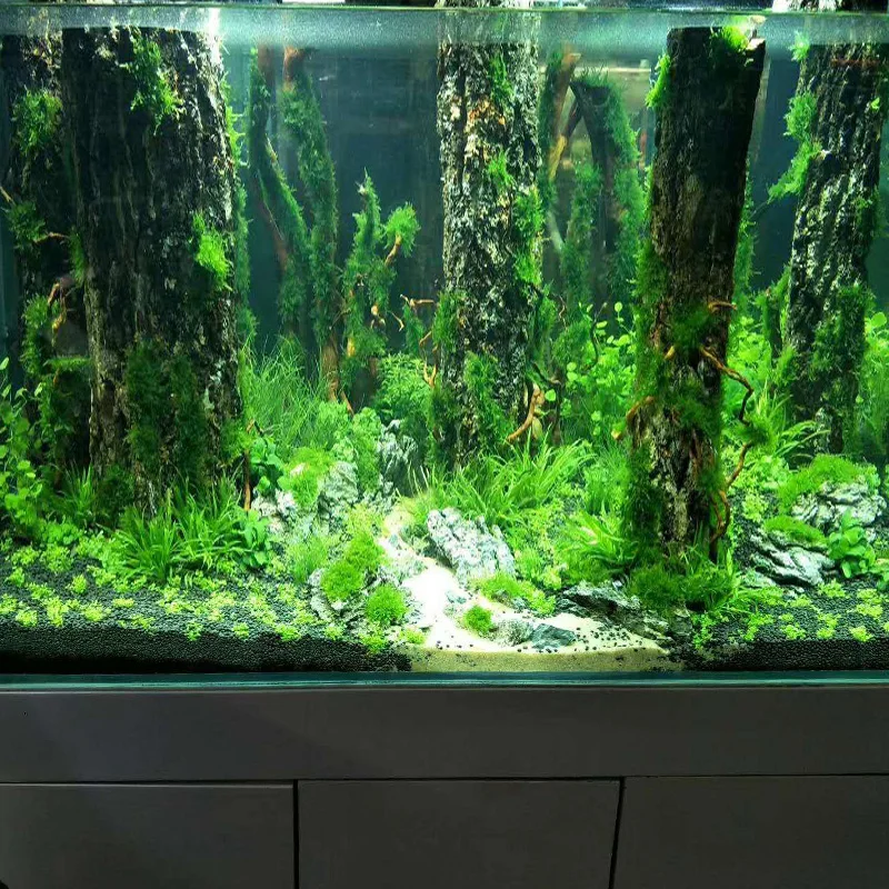 Kisangel Tree Trunk Aquarium Decoration - Resin Fish Tank Hideout Cave For Reptiles & Small Pets