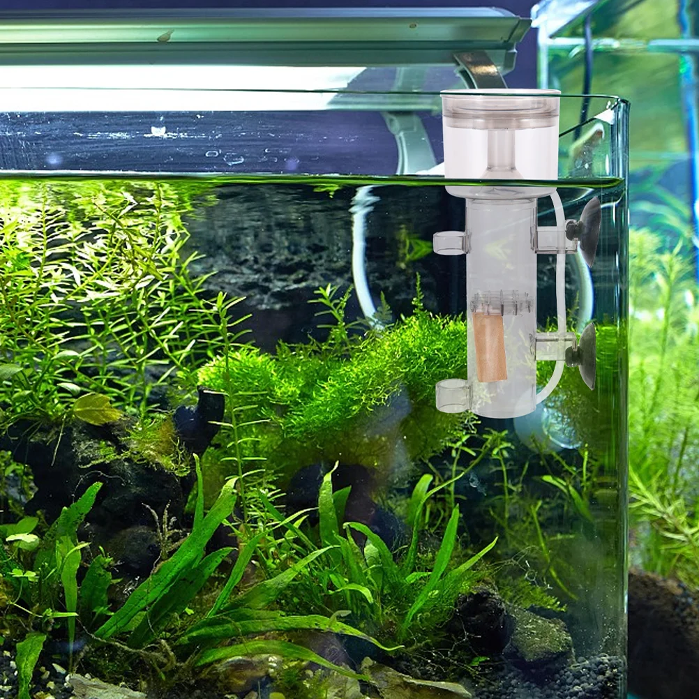 3 Pcs Protein Skimmer Bubble Stone Fish Tank Oxygen Diffuser Wood Airstones for Aquarium Practical Accessories