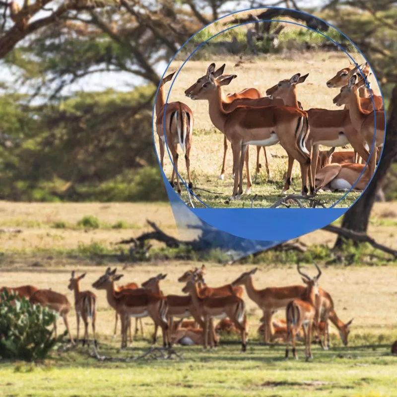 60x60 High-definition Night Vision Hunting Binoculars Outdoor Handheld Camping Binoculars Binoculars Reconnaissance Binoculars