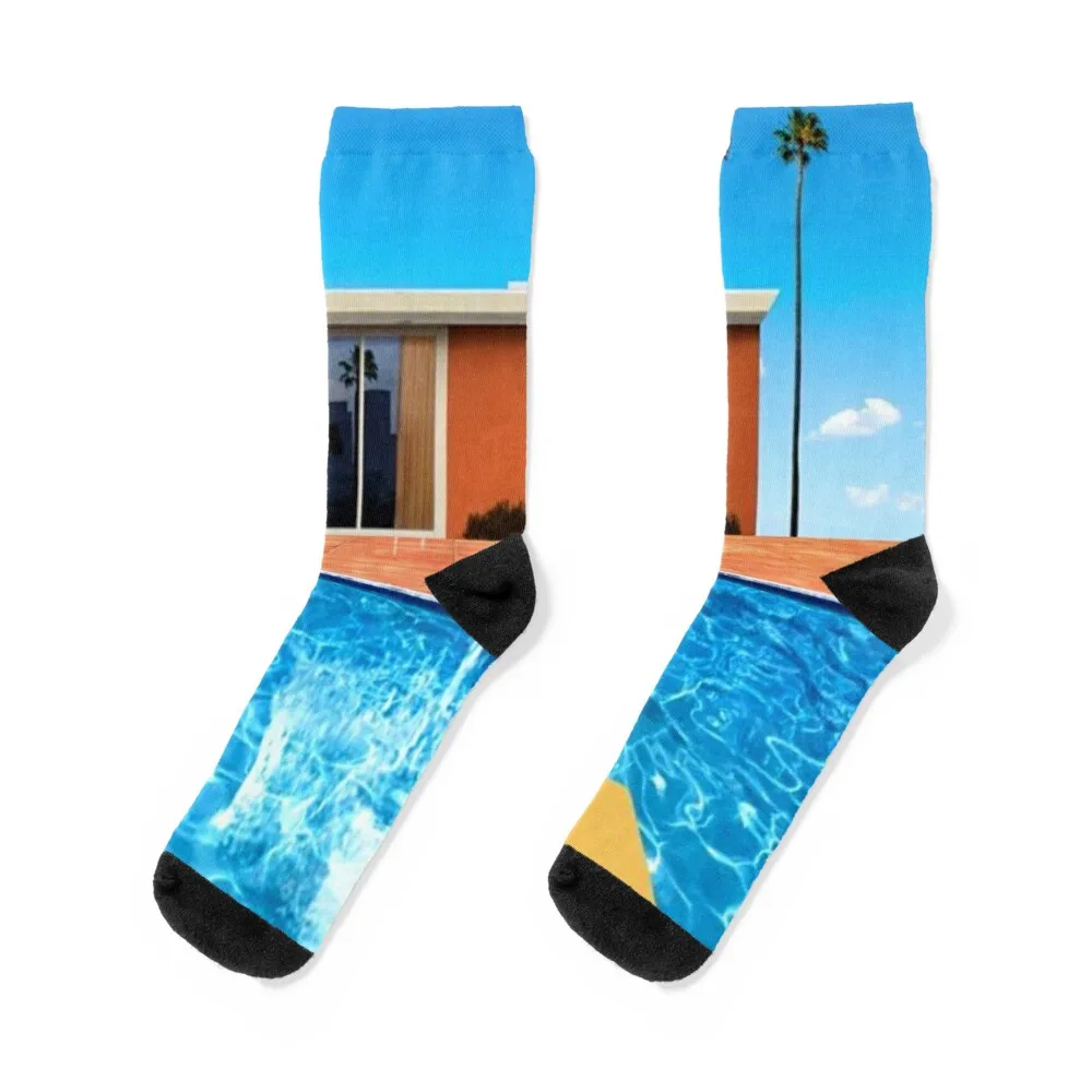 Swimming Pool David Hockney Exhibition Art David Hockney Inspired Art Prints Socks Women's socks high cotton socks men