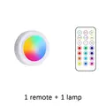 1 remote 1 light