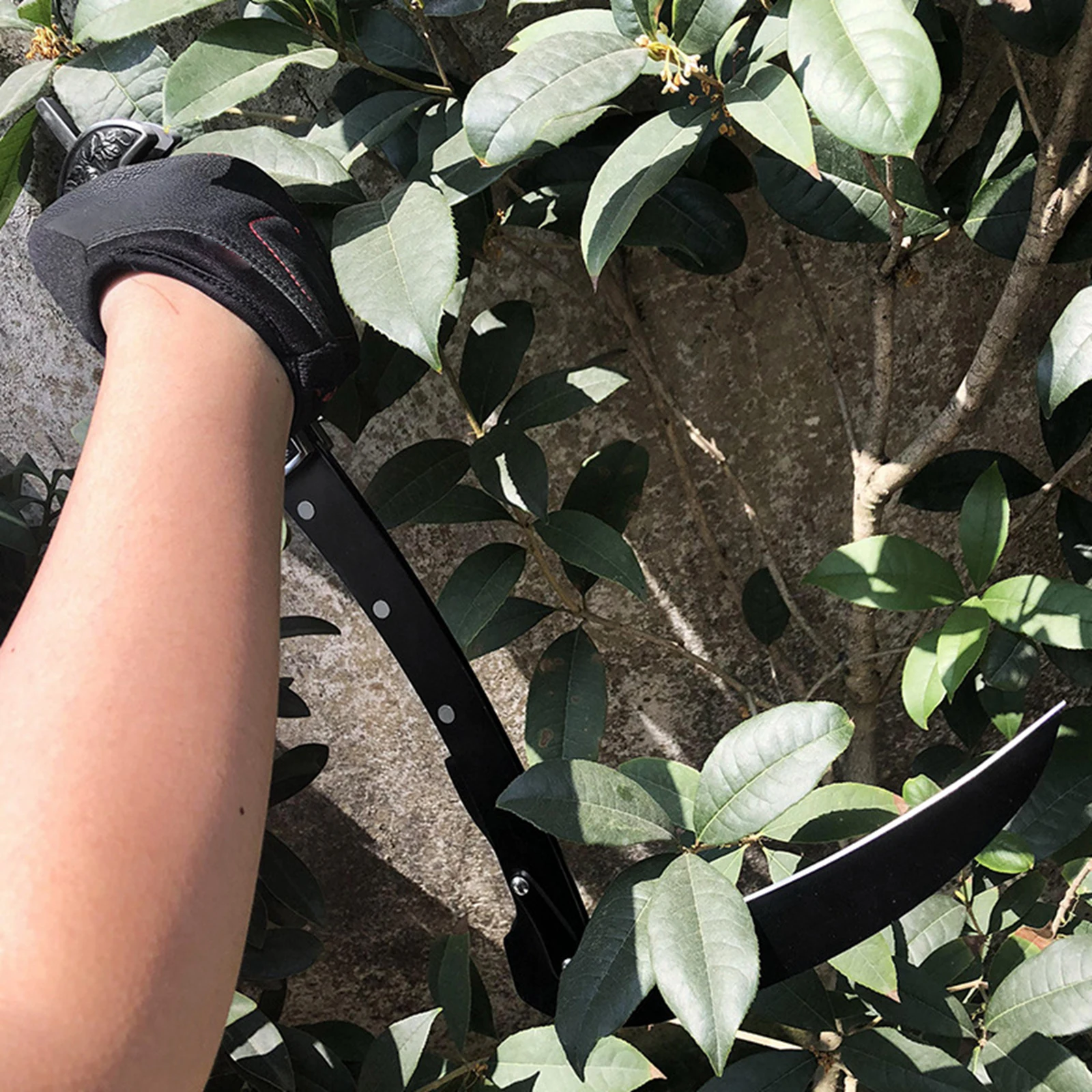 Slide image e1d7249cee614f5985fa867c4a3b148b